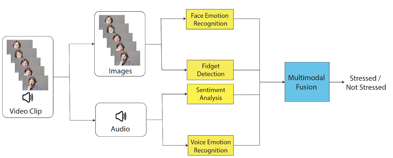 Stress Detection